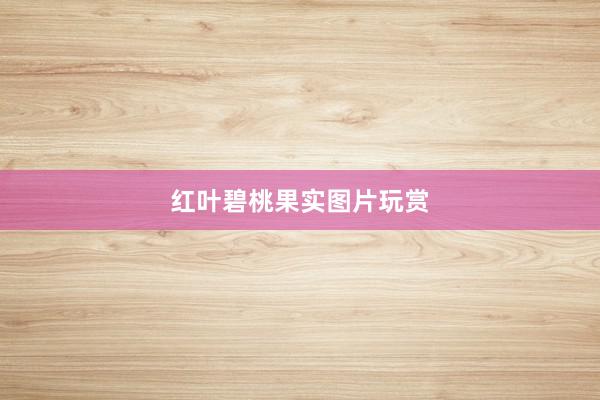 红叶碧桃果实图片玩赏